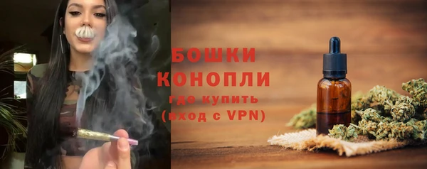 a pvp Бородино