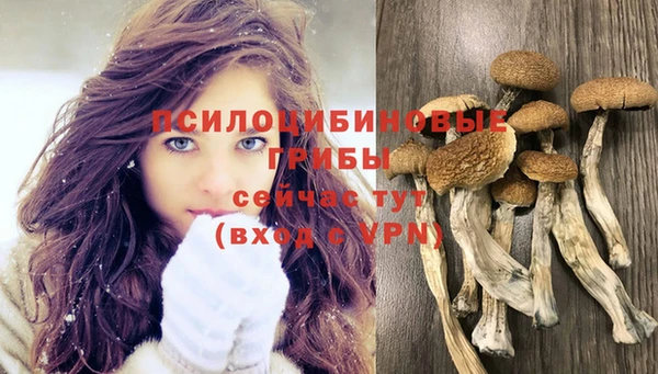 СК Балахна